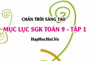 Mục lục SGK Toán 9 tập 1 Chân trời sáng tạo - Lý thuyết và bài tập Toán 9 tập 1 Chân trời sáng tạo